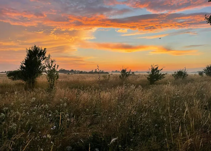 Сasa de vacaciones Old With Orangery In Rudbjerg *
